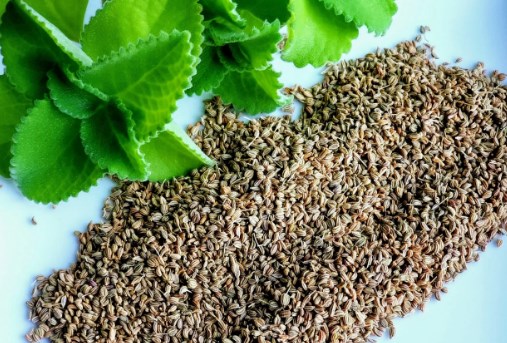 benefits-and-side-effects-of-ajwain