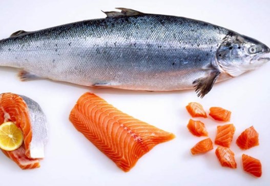 salmon-fish-in-telugu-benefits