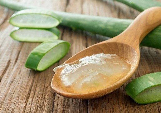 uses-and-side-effects-of-aloevera